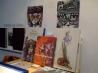 dscf2517_small.jpg